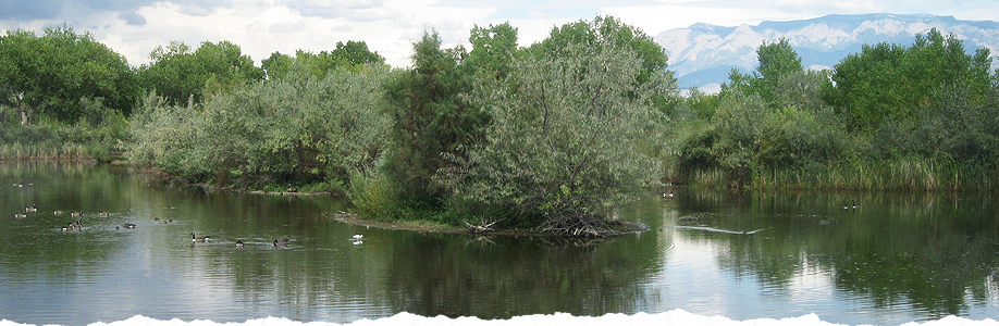 Continental Acres RV Park in Albuquerque, New Mexico ...